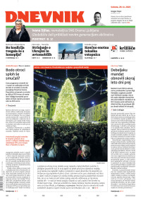 Dnevnik-2025-11-28